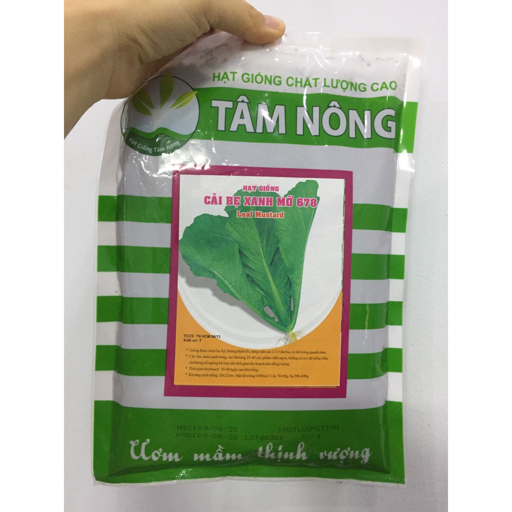 [Túi Lớn 1Kg] Hạt Giống Cải Bẹ Xanh/Cải Xanh Mỡ Dễ Trồng, Tốt Cho Tim Mạch, Chống Lão Hóa, Ngừa Ung 