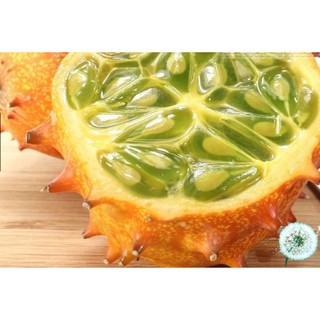 Hạt Giống Dưa Chuột Gai Chịu Nhiệt Kiwano (Cucumis metuliferus)