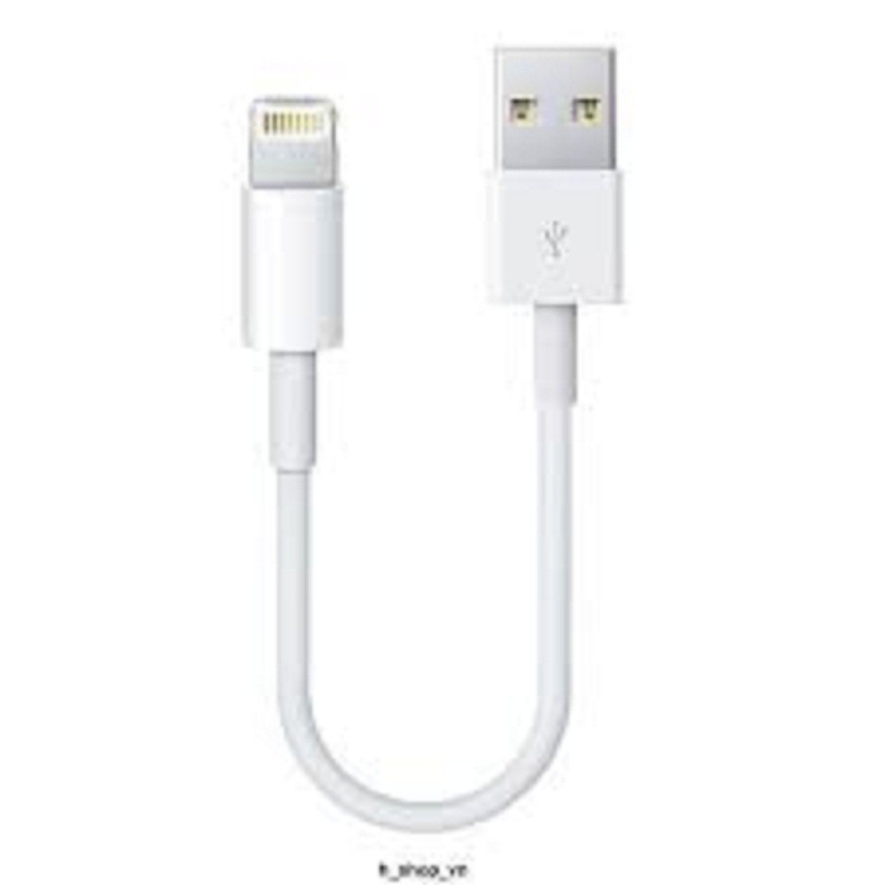 Cáp iPhone ngắn 20cm