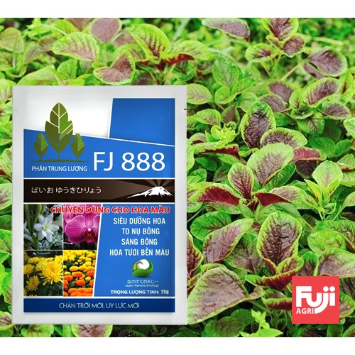 Phân bón mai vàng to hoa dày cánh FJ 888 NHẬT BẢN  15g