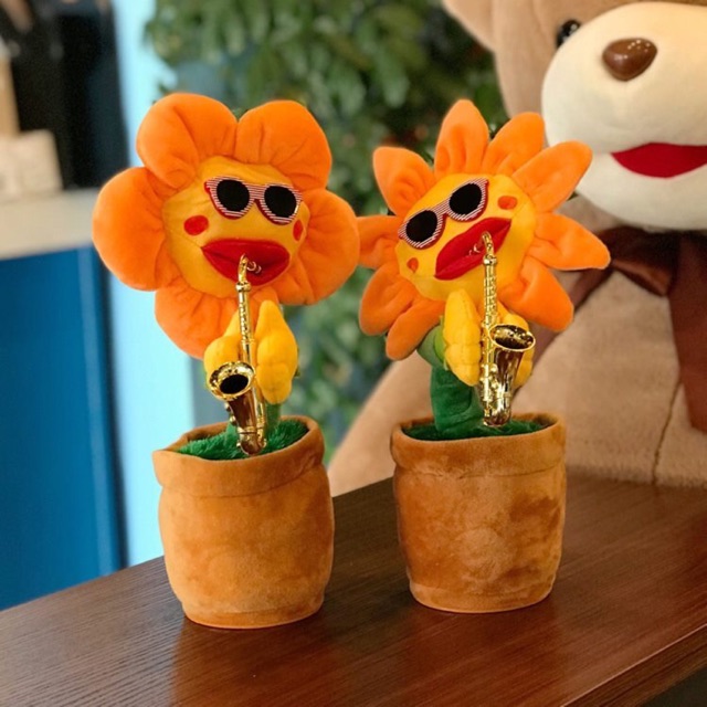 Hoa hướng dương thổi kèn