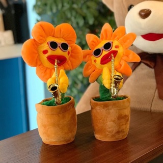 Hoa hướng dương thổi kèn