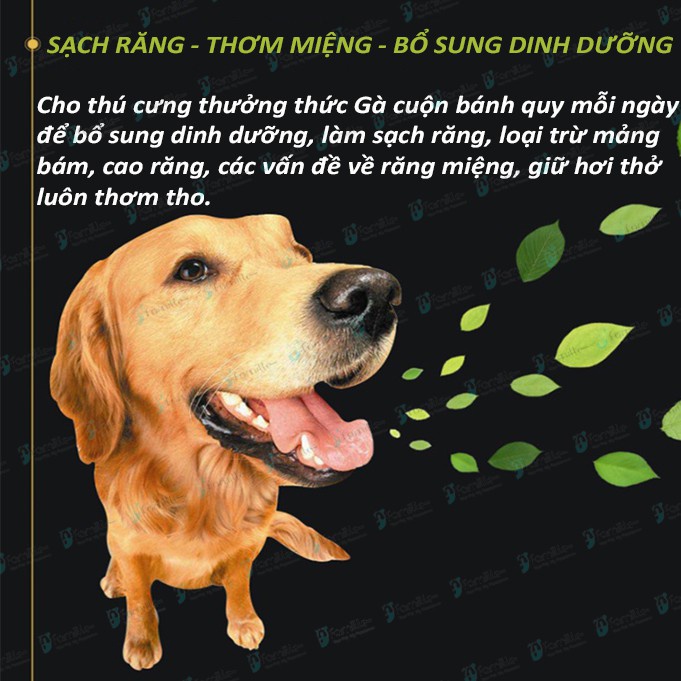 [HẤP DẪN] Gà Cuộn Bánh Quy Cho Chó Mèo, Gặm Sạch Răng JFamille, Pet Snack Dinh Dưỡng, Bánh Ăn Vặt Cho Thú Cưng. JF41