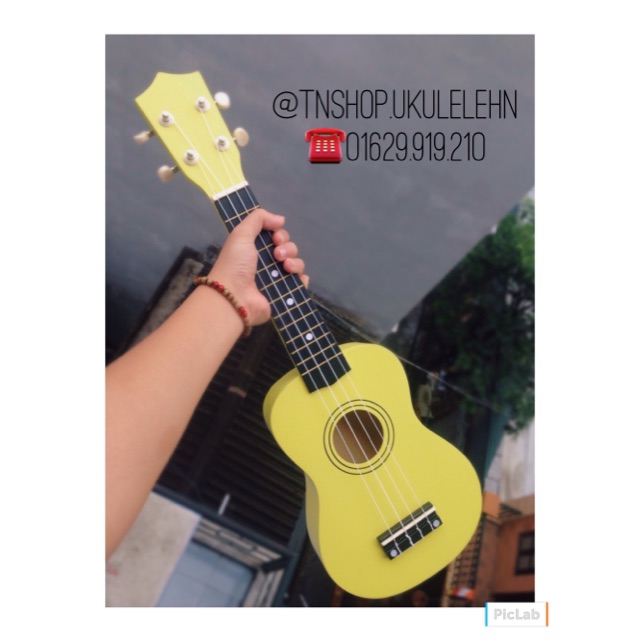 Ukulele everfun vàng