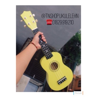 Ukulele everfun vàng