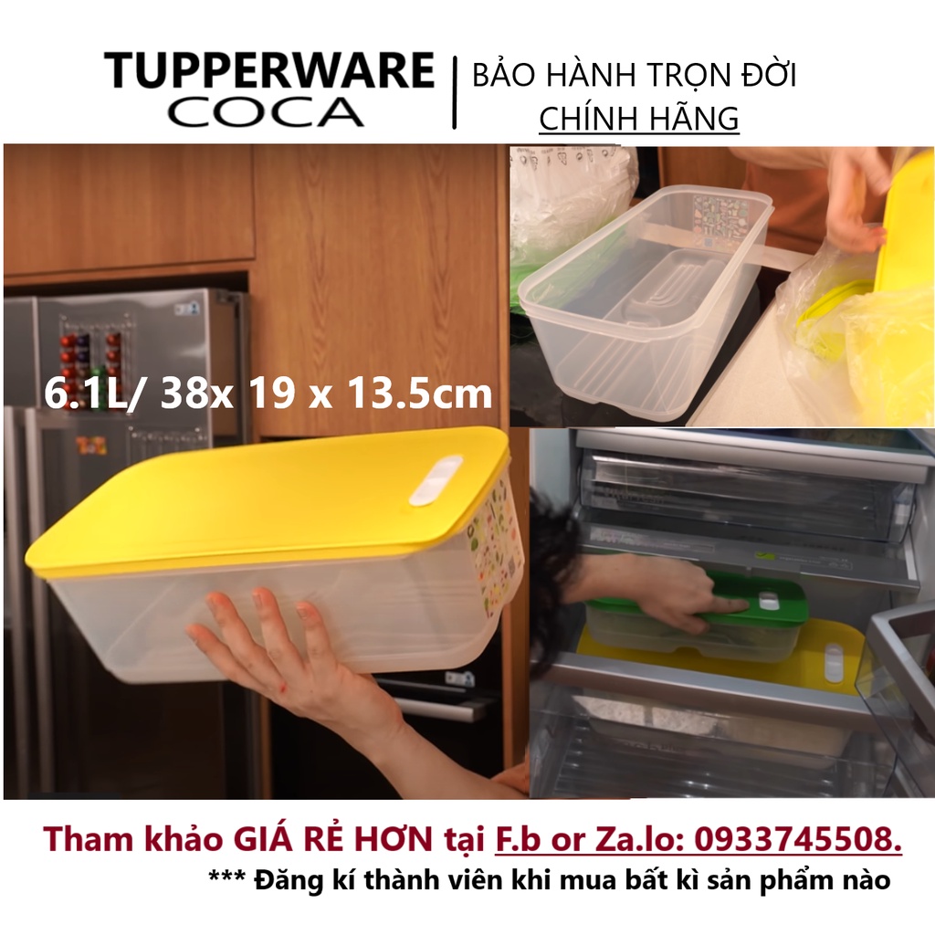TUPPERWAREHOUSE MALL - NHÃN MỚI Hộp trữ mát Vensmart 6,1L (1 hộp) trữ rau củ quả