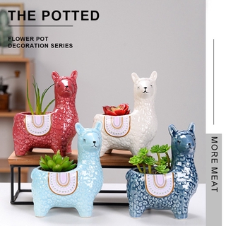 Chậu Cây Bonsai Hình Lạc Đà Alpaca