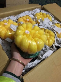 Combo 3 cặp nến Phật thủ