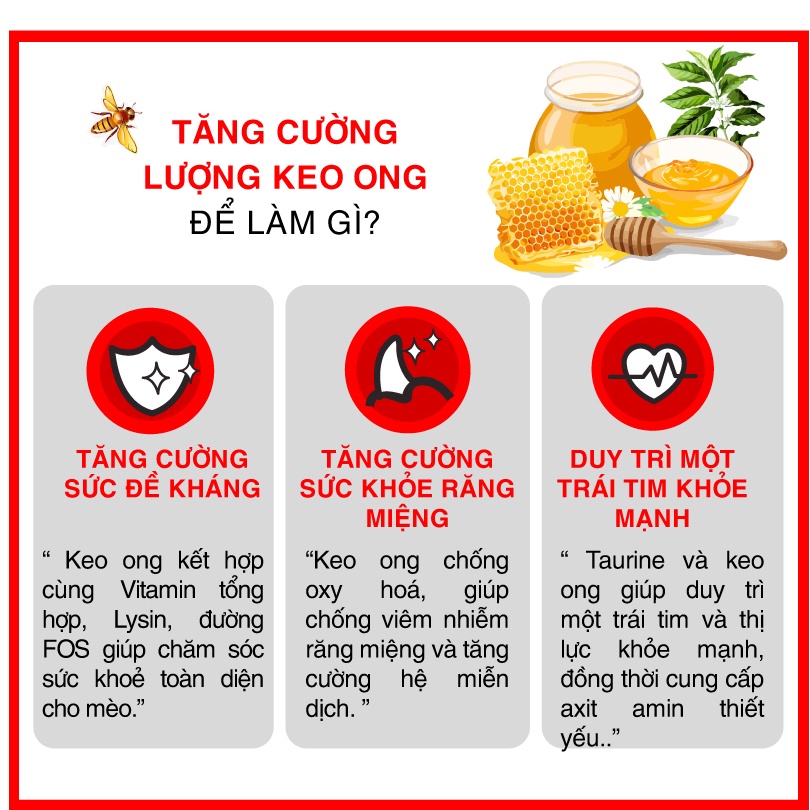 Hạt Today's Dinner cho mèo mọi lứa tuổi - mèo con - mèo trưởng thành túi 1kg Bốn Chân Pet Shop