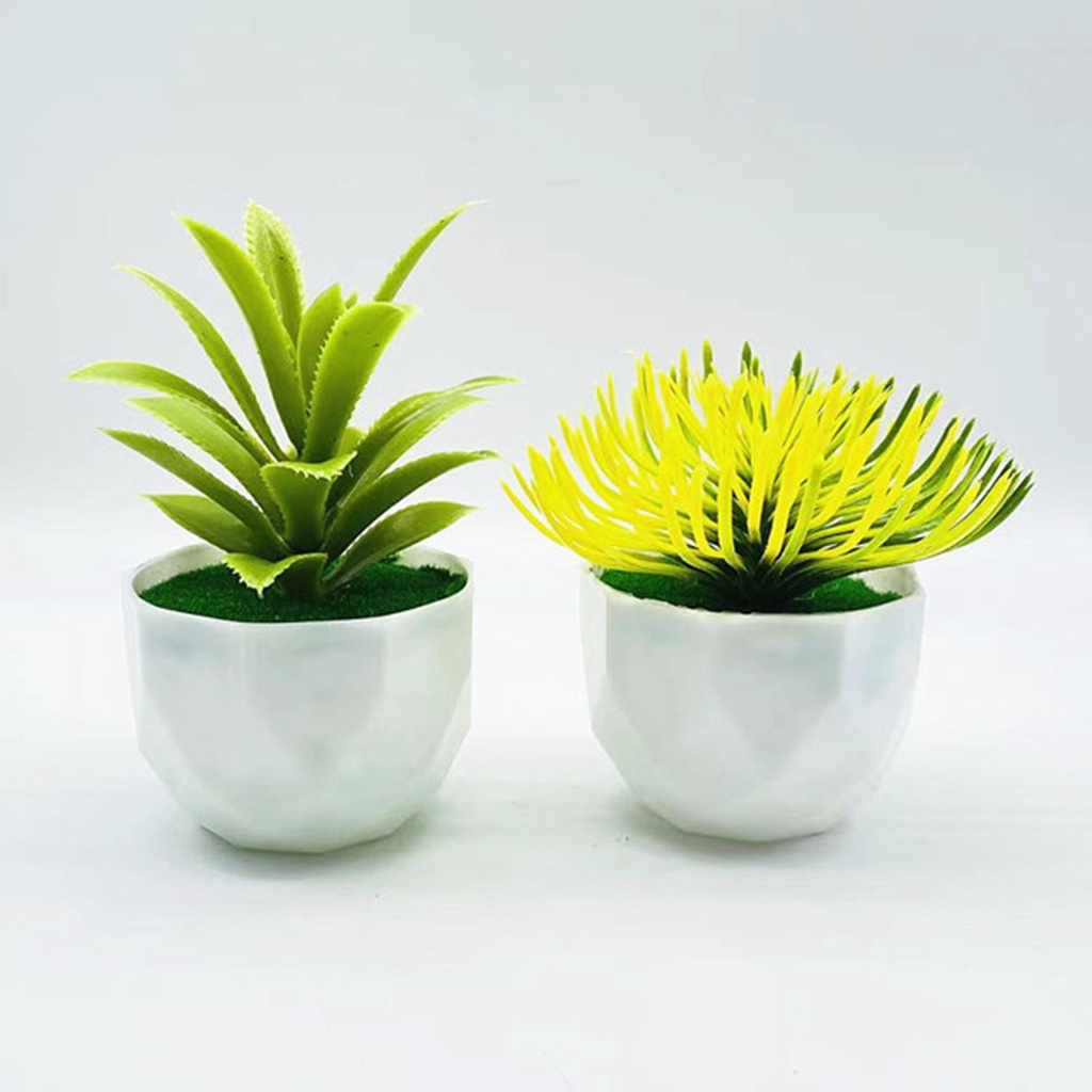 Chậu Cây Cảnh Nhân Tạo Bằng Nhựa Chống Nước Không Tưới Nước