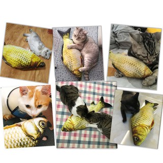 Đồ Chơi Cho Mèo Hình Chú Cá Nhồi Bông 20Cm