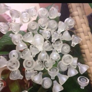 Combo 30 cái núm vệ sinh mũi silicon