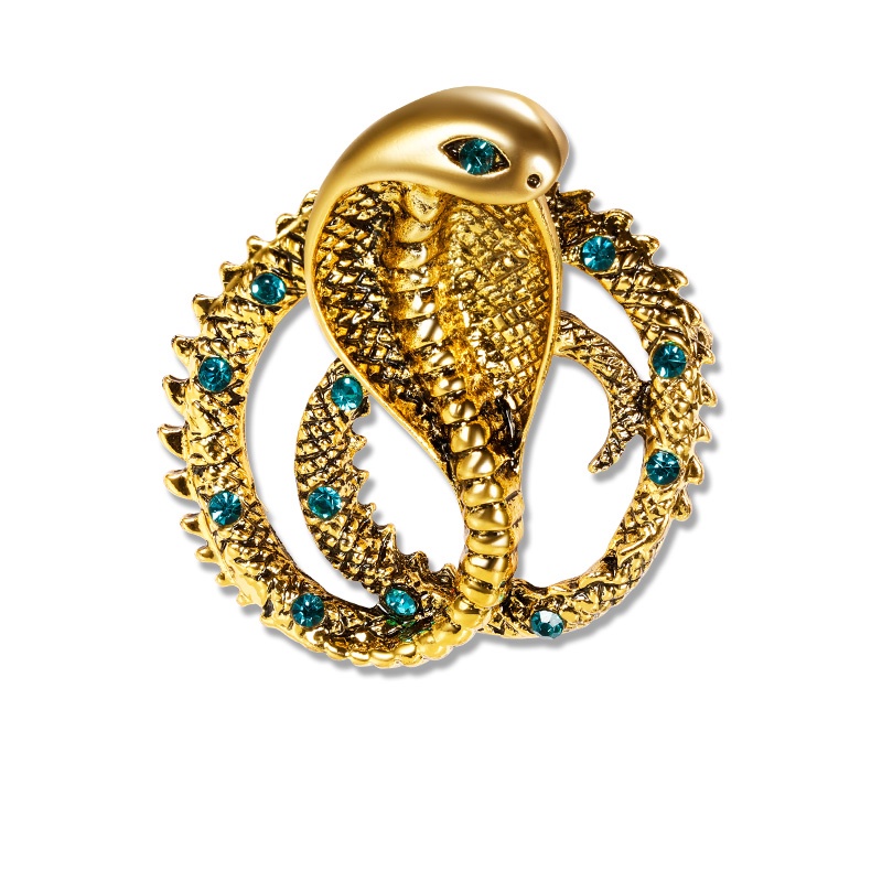 Ghim Cài Áo Hình Con Rắn Phong Cách Retro Cá Tính