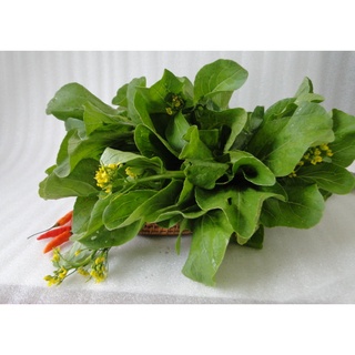 [HCM- RAU CỦ QUẢ] Cải Ngồng - 500gr