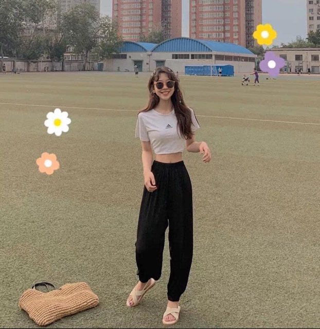 Quần thô đũi alibaba đủ màu | BigBuy360 - bigbuy360.vn