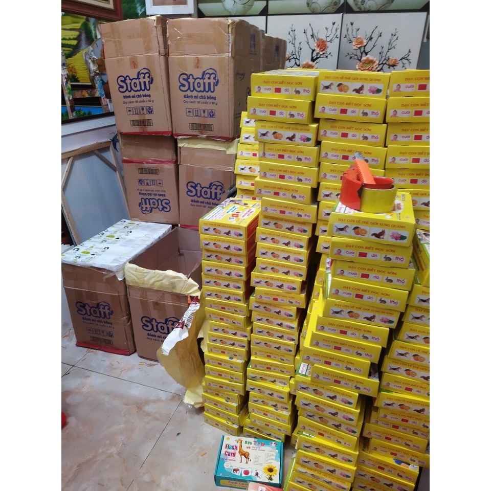 Bộ thẻ học Glenn Doman kt TO A5 - 17x21cm dạy bé nhận biết về Thế giới xung quanh, kết hợp dạy Từ vựng