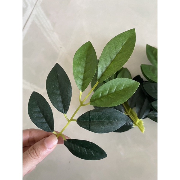 Combo 3 bó  bồ công anh gân xanh  hàng loại tốt/ lá lộp lụp chim cu gáy