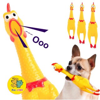 [Mã PET20K giảm 20K đơn 250K] Đồ chơi chó mèo - gà la hét kêu chíp chíp Dùng Cho Chó Mèo Pet1989