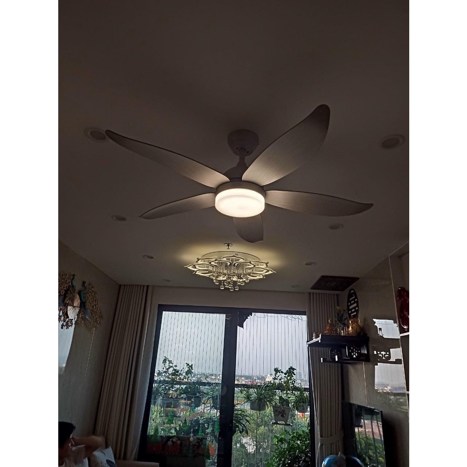 [Bảo Hành 5 Năm] Quạt Trần K43T CERATA  6 Cấp Độ Gió Công Xuất 65w Động Cơ DC, Có Đèn LED 3 Chế Độ Ánh Sáng