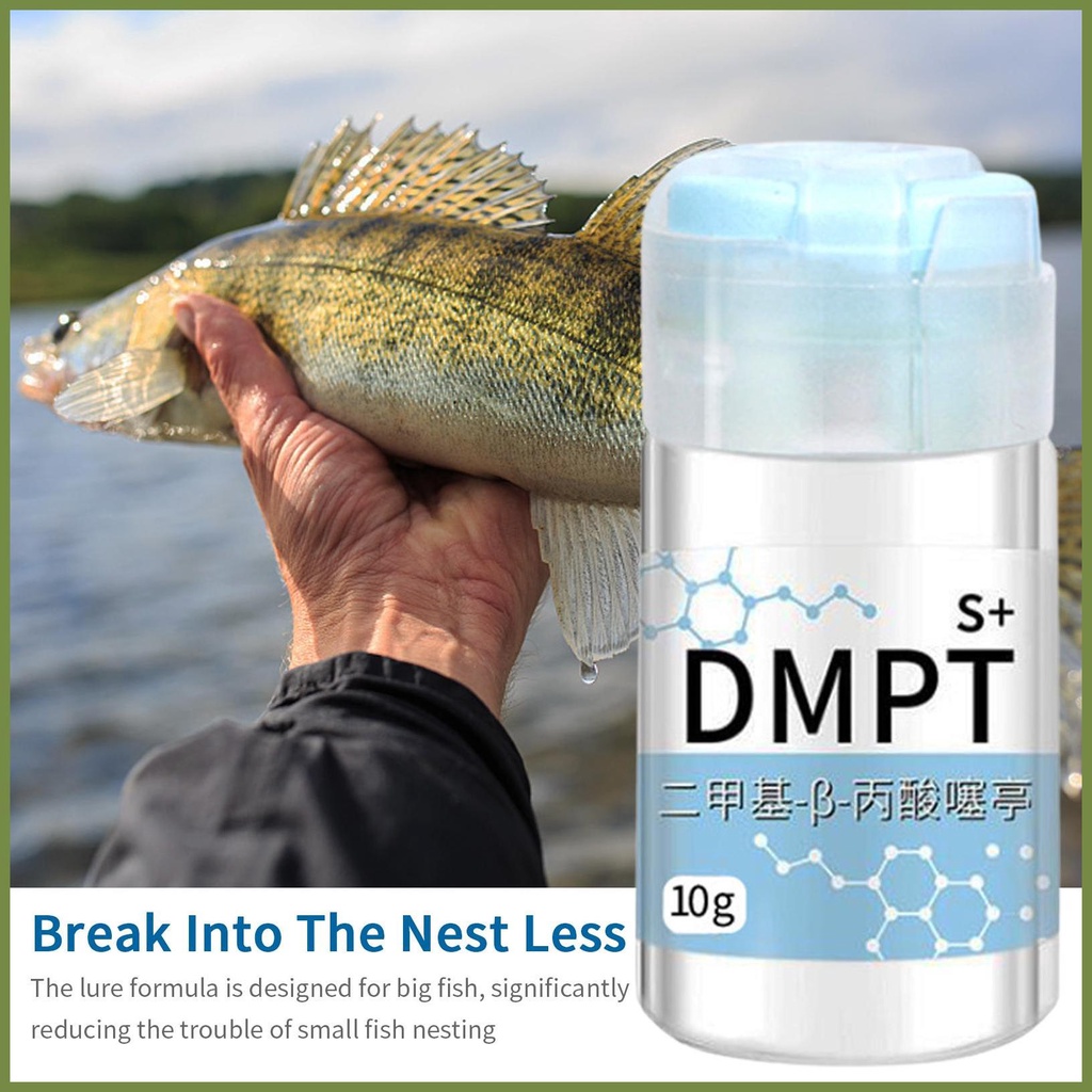 Dmtp Phấn Bắt Cá Chép Chất Lượng Cao