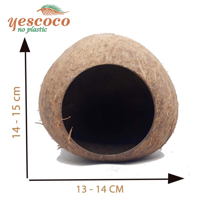 Nhà Hang Chuột Hamster gáo dừa tròn 1 cửa || Xưởng gáo dừa Coco_decor