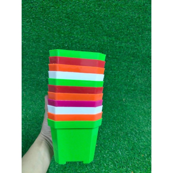 CHẬU TRỒNG CÂY XƯƠNG RỒNG SEN ĐÁ CÂY CẢNH ĐỂ BÀN