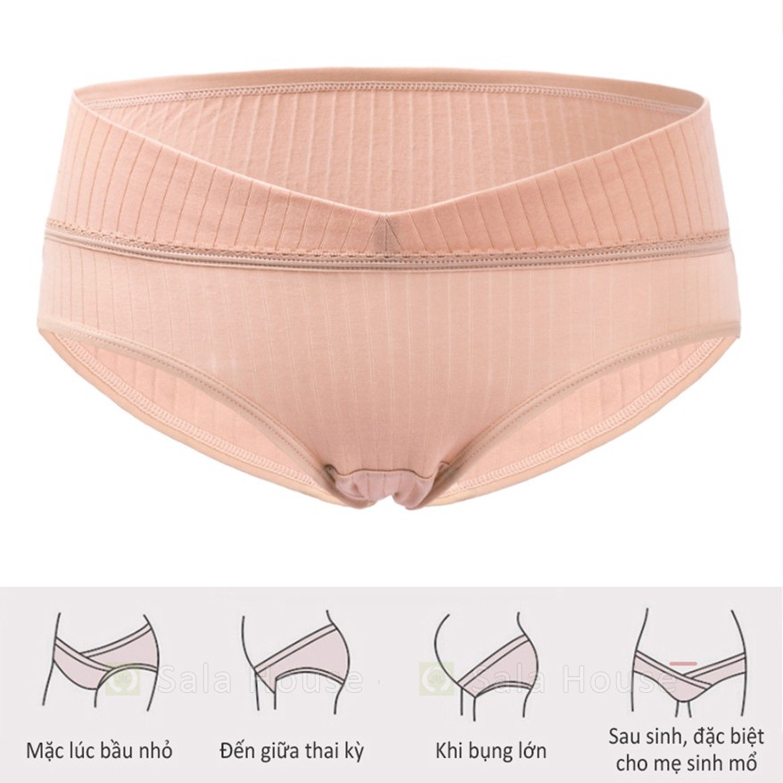 Quần Lót Bầu Cao Cấp Đáy Lót Lụa Kháng Khuẩn - Chính hãng EnjoyPreg - QL16
