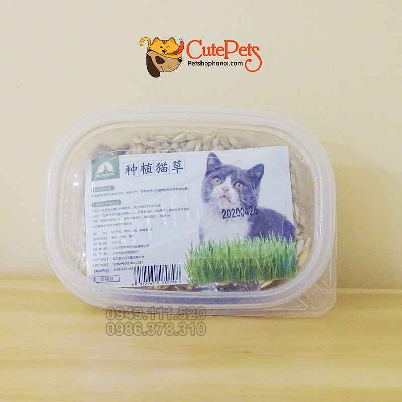 Hạt giống cỏ mèo ChiCat đủ đồ chỉ việc trồng - CutePets Phụ kiện chó mèo Pet shop Hà Nội