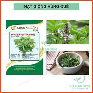 5GRAM HẠT GIỐNG HÚNG QUẾ CAO SẢN (HÚNG CHÓ) - HỌC VIỆN NÔNG NGHIỆP VIỆT NAM