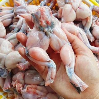 Thịt Đùi Ếch Làm Sạch