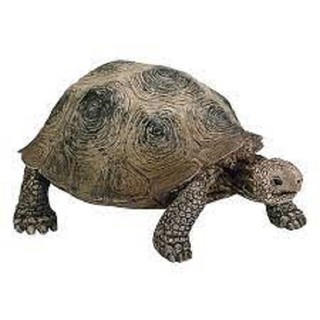 Mô hình Rùa khổng lồ SCHLEICH 14601