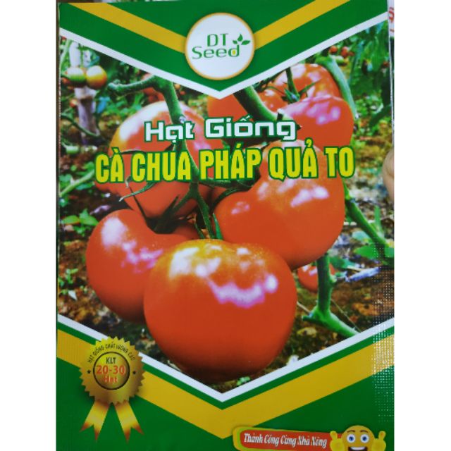 Hạt giống cà chua pháp quả to - Rau củ quả trồng tại vườn, sân thượng, nông trang, ban công