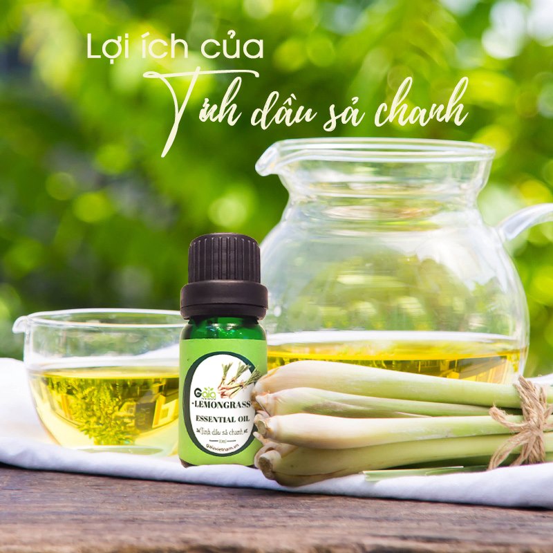 Tinh dầu thiên nhiên Pizkie Mùi Hương Dịu Nhẹ giúp Thư giãn tinh thần, Ngủ Ngon 10ml