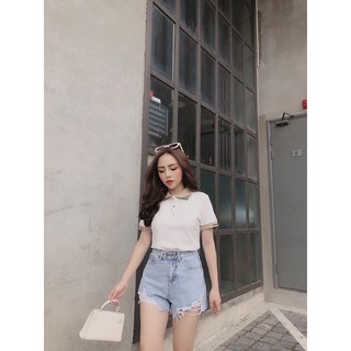 áo thun cổ bẻ 3 màu nữ