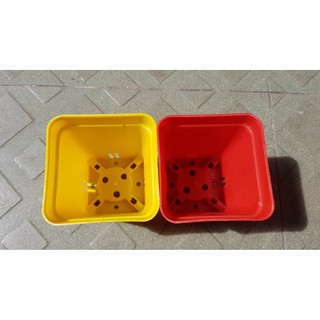 Chậu vuông 7x7 nhiều màu (Set 100 cái).