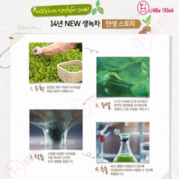 XỊT KHOÁNG TRÀ XANH [INNISFREE] Green Tea Mist 50-150ML
