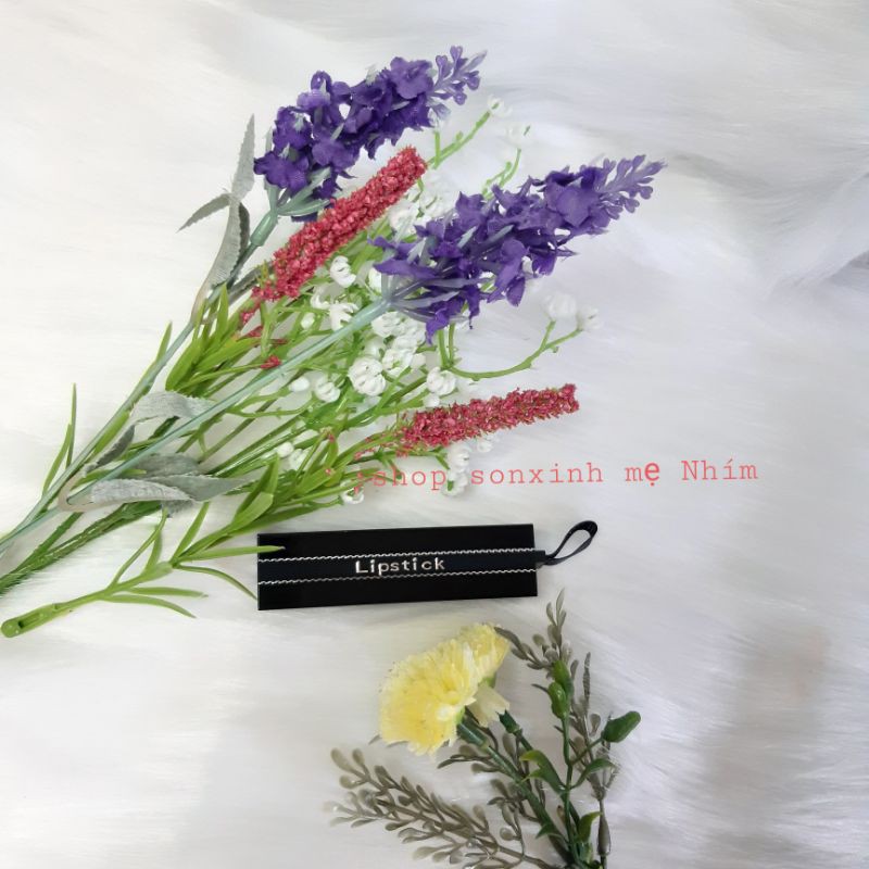 Son sáp rút lipstick handmade [SON LÌ - KHÔNG CHÌ - KHÁNG NƯỚC]