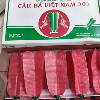 Cầu đá thi đấu loại 1