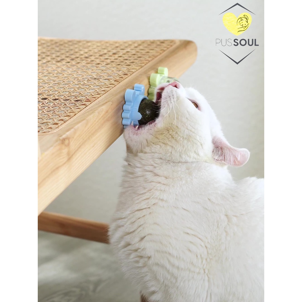 - Cỏ mèo dán tường  - Giảm STRESS, trị búi lông dạ dày mèo - Hình Cua nhỏ, Trái bơ