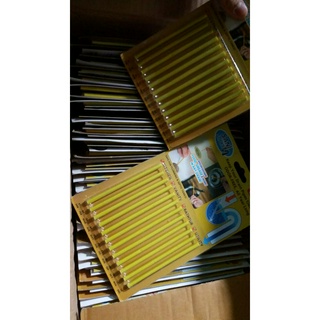 SANI STICK - Thanh tiêu cặn ống thoát nước