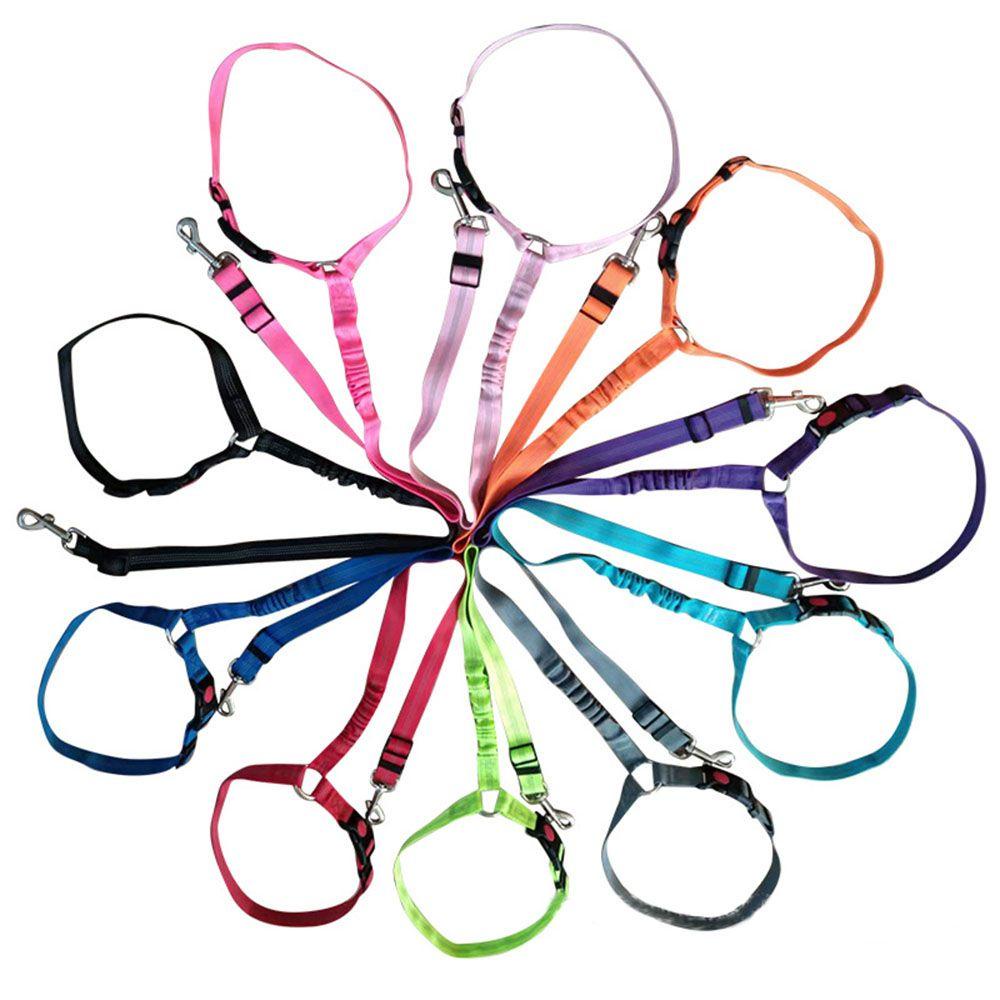 FAY Dây ThắT An ToàN Trên Xe Hơi Cho Thú Cưng