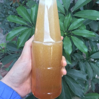 Mật ong Hoa xuyến chi (0,5lit)