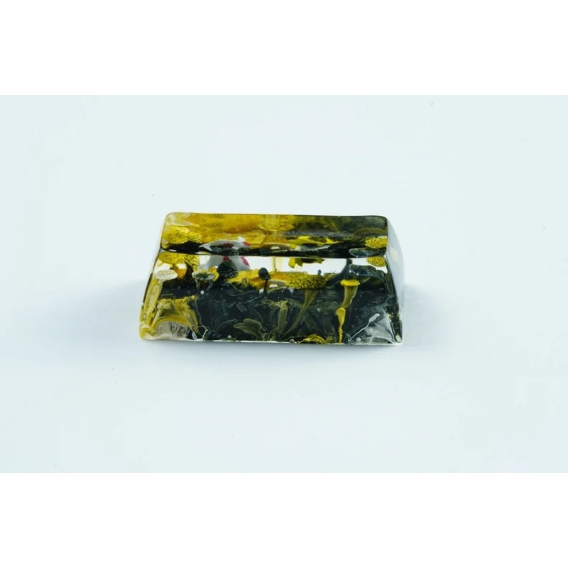 Nút bàn phím cơ Koi đen/vàng.Keycap resin.Keycap Arstian