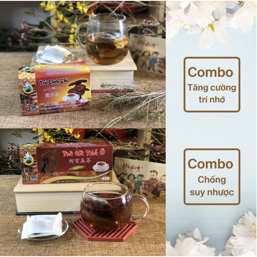 Tăng cường trí nhớ, sức đề kháng (túi lọc)- trà Hà Thủ Ô + trà Linh Chi - Nguyên Thái Trang - Bộ trà Diệp Lạc -sỉ/lẻ