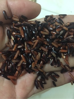 Trà gạo lứt đỏ gói 500g