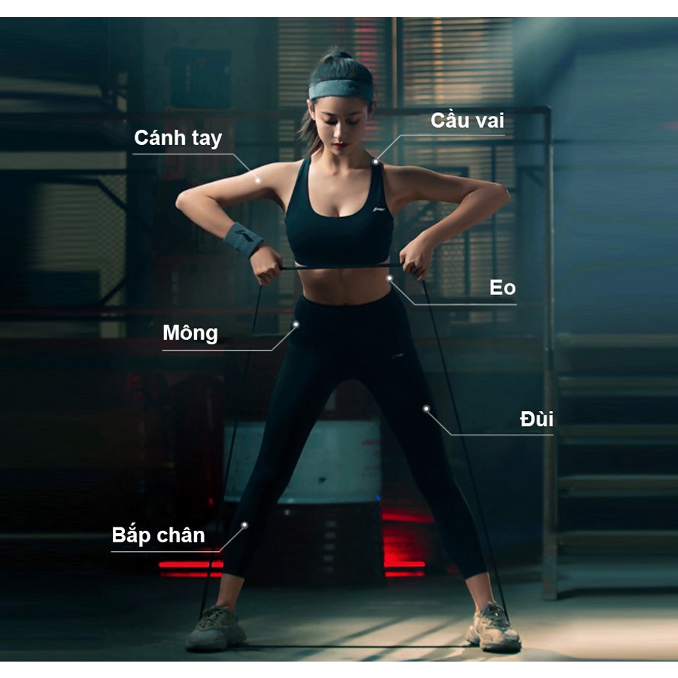 Dây kháng lực tập gym, Power Band đa năng, hỗ trợ luyện tập thể dục, tiện lợi tại nhà, văn phòng EROS STORE