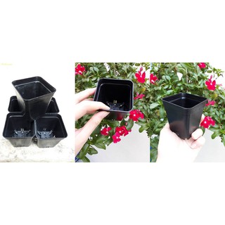 Chậu nhựa vuông đen size 7x7cm (set 500cái)