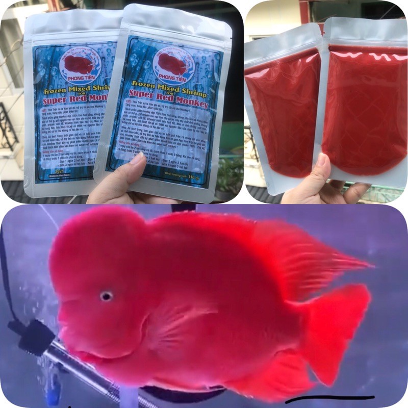 Tôm trộn Khỉ đỏ thức ăn cho cá