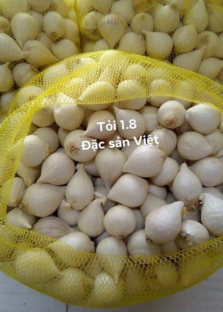 Tỏi cô đơn CHÍNH GỐC 500G👍🏻FREESHIP👍🏻Giảm 10k cho hoá đơn từ 1 triệu - Đặc sản Lý Sơn Quảng Ngãi