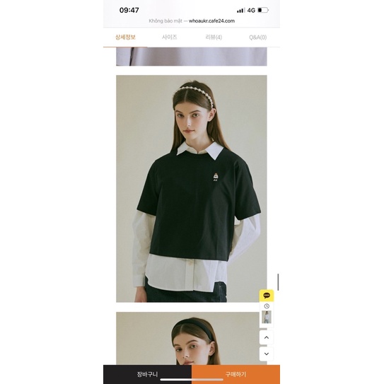 Áo thun gấu 4 màu